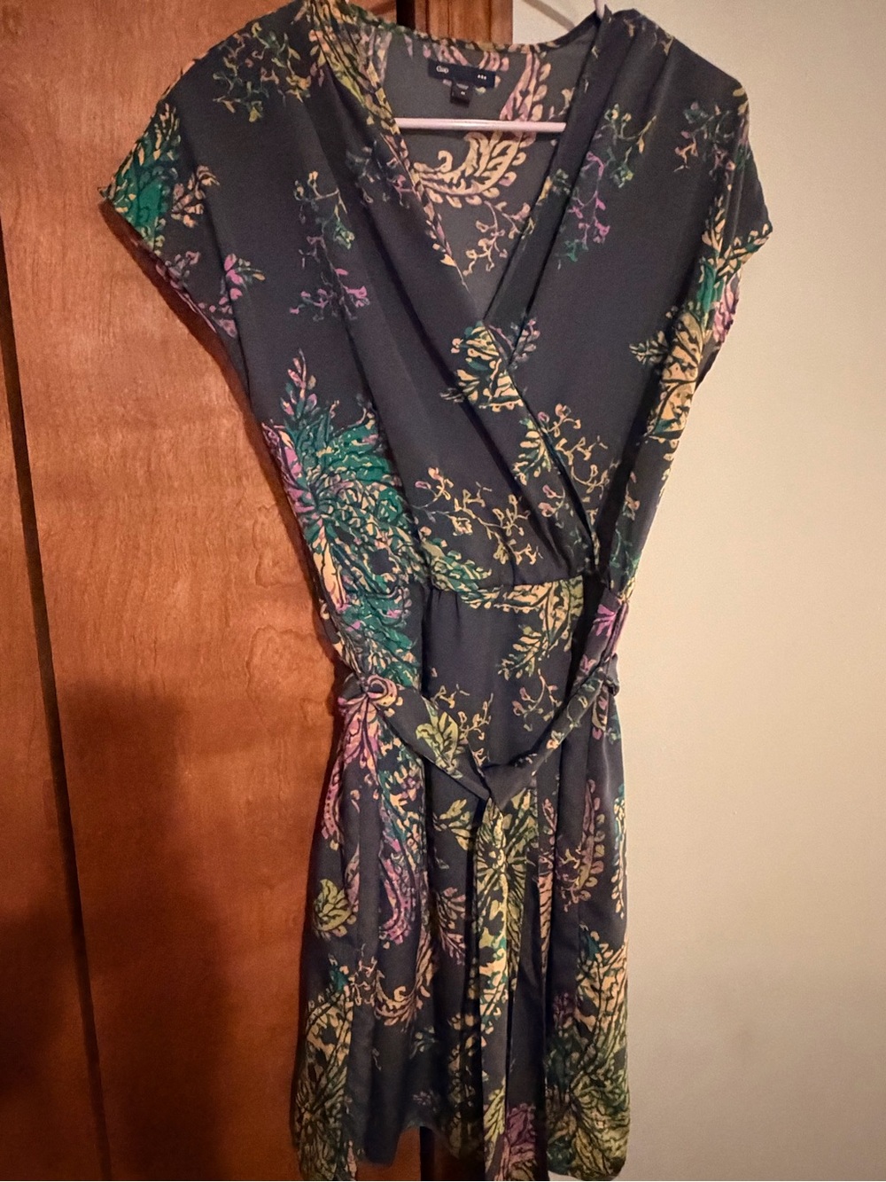 Vintage (2011) Gap dress